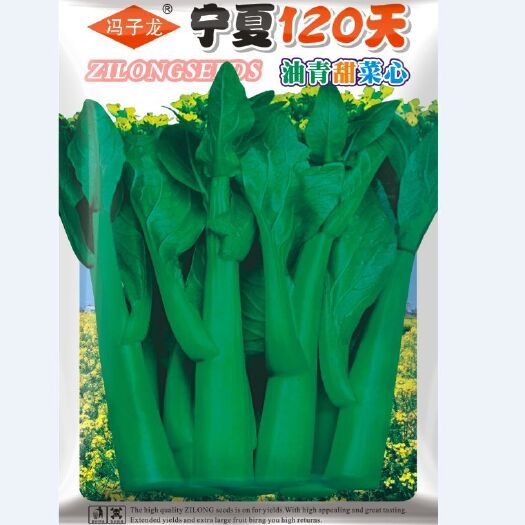 广州宁夏油青甜菜心菜种籽广东菜心种子四季青菜籽种蔬菜种