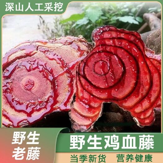 盐津县林地老藤深山人工采挖鸡血藤大片干品