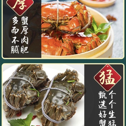 高邮市大闸蟹