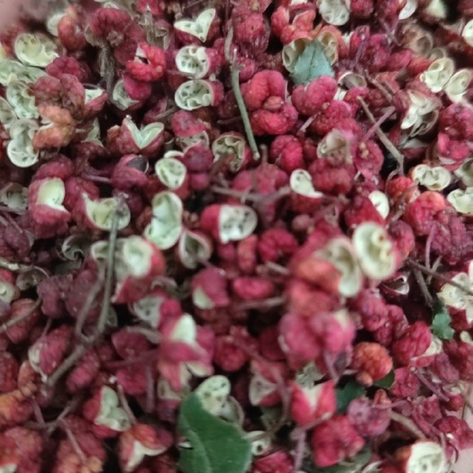 遵义产地直营：茂汶花椒、武都花椒、大红袍