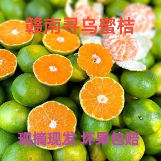 赣南寻乌特早蜜桔柑橘 橘子 无籽无核青皮蜜桔  桔子新鲜水果