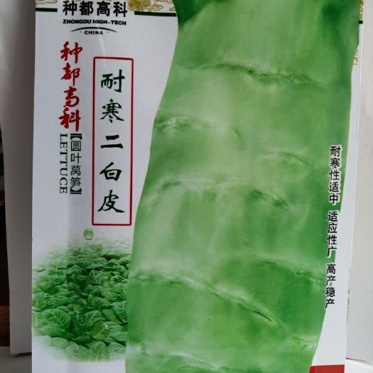 长沙种都高科耐寒二白皮莴笋种子 圆叶 耐寒 适应性广 稳产