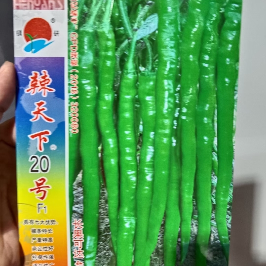 武汉辣天下20线椒种子