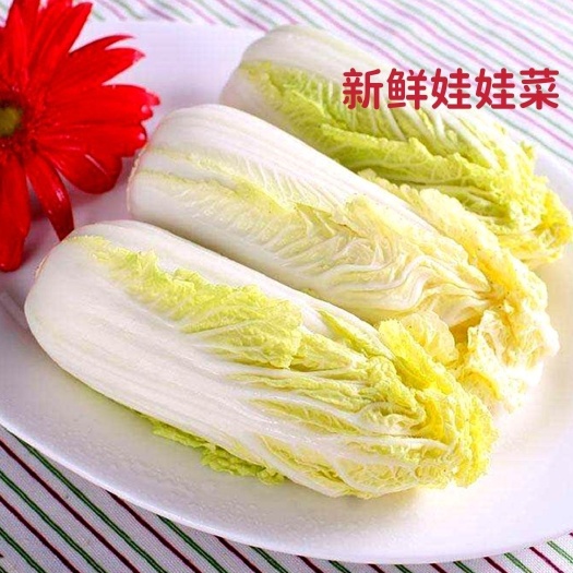 娃娃菜  高原夏菜   黄心  新上市