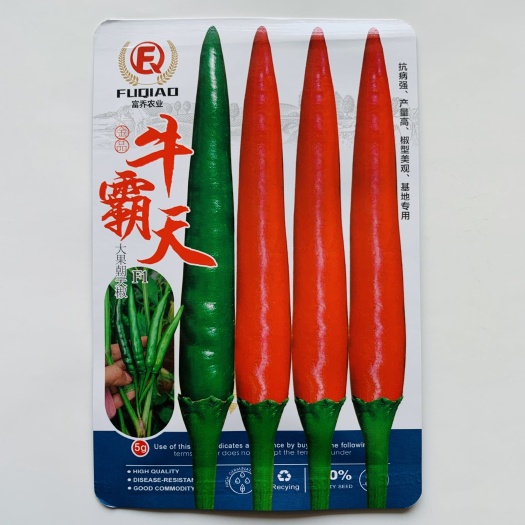 沭阳县牛霸天朝天椒种子中熟抗病产量高辣椒种子椒型美观大果型朝天椒/