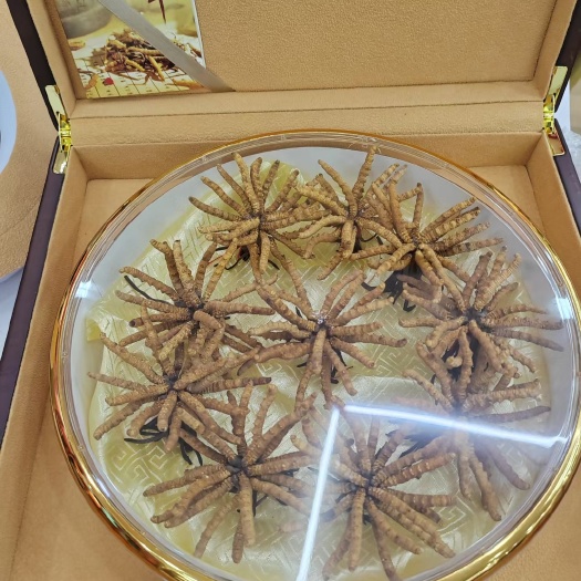 小金县高海拔藏区冬虫夏草，由于大小区别，价钱十几元到100之间