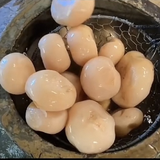 泡酸萝卜 煮汤 炒菜 搭配稀饭
