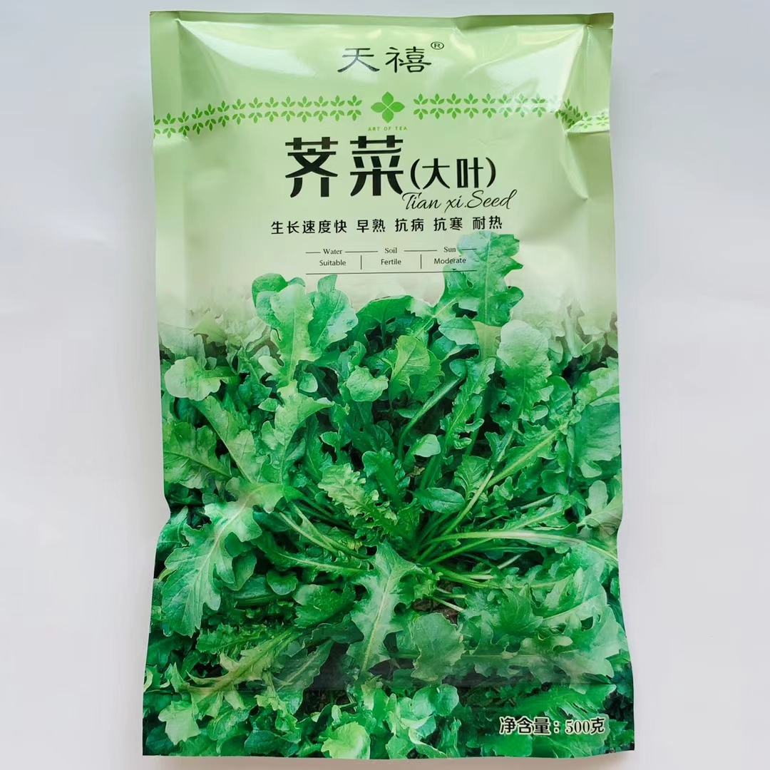 荠菜种子早熟耐寒性强适应性广野生荠菜种子