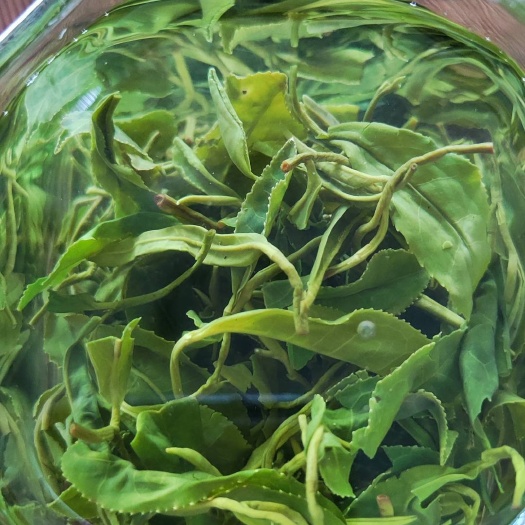 日照白露二细绿茶～白露后日照绿茶一芽两叶，滋味醇厚汤色黄绿明亮