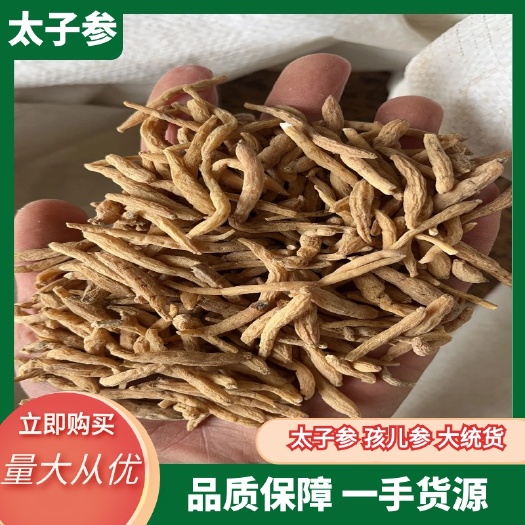 【文斌药业】太子参 孩儿参 大统货 产地贵州省 中选货