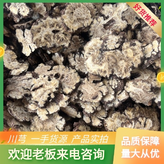鄄城县【文斌药业】川芎 净货 产地四川 过3个筛大统货