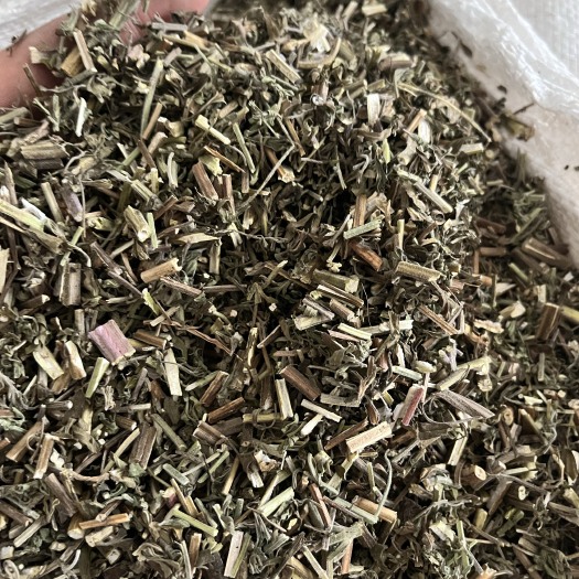 鄄城县【文斌药业】荆芥 全荆芥 无硫 一公斤起批