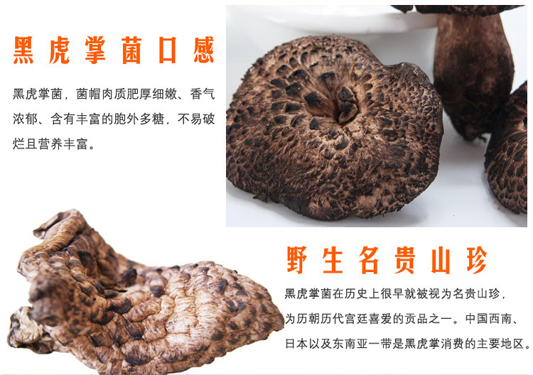 小金县野生黑虎掌菌