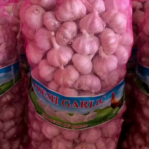金乡县金乡大蒜电商货，蒜米料首先