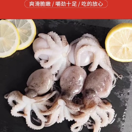 锦州短爪八抓鱼
