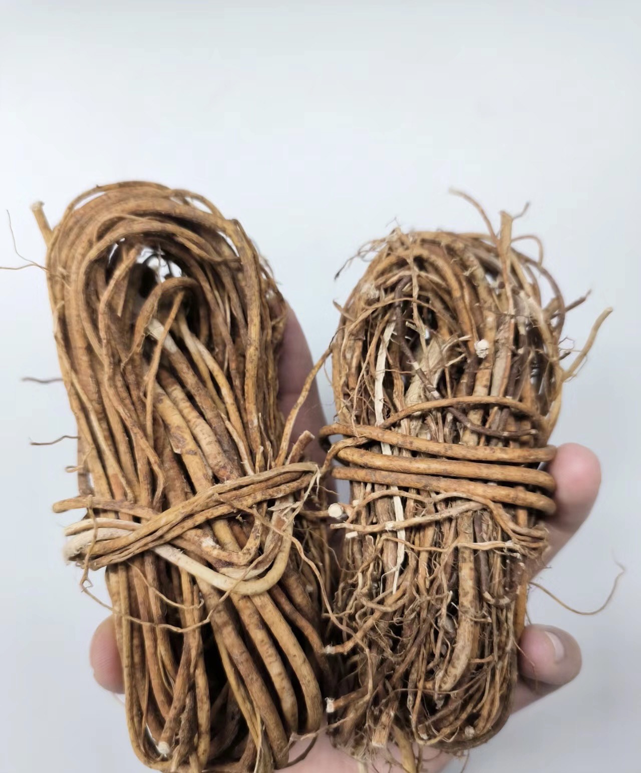 南昆山五指毛桃