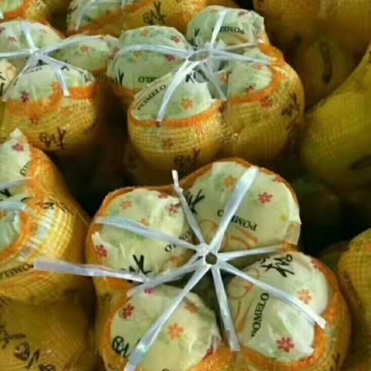 红心柚  柚子产地大量上市销售！红心和白心都货源充足！
