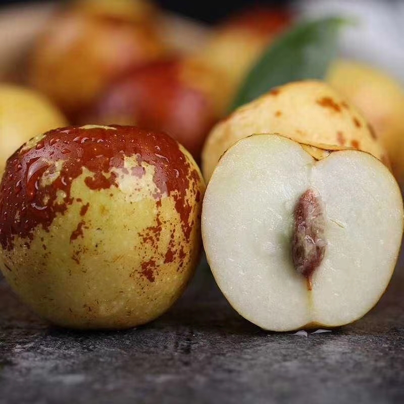 正宗沾化冬枣大果