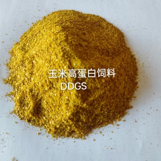 石家庄玉米酒糟DDGS