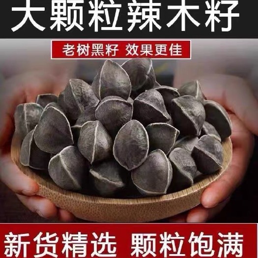 昆明辣木籽大颗粒500克大货批发