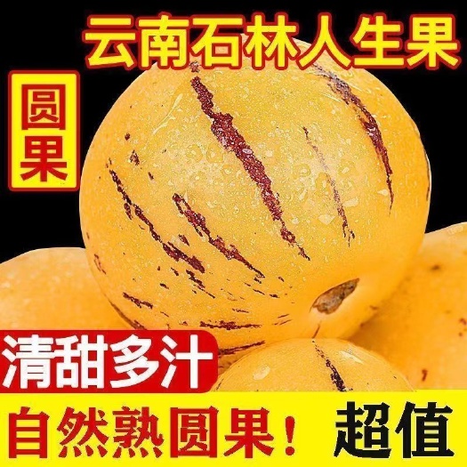 石林县云南石林人参果圆果新鲜水果当季一整箱批发