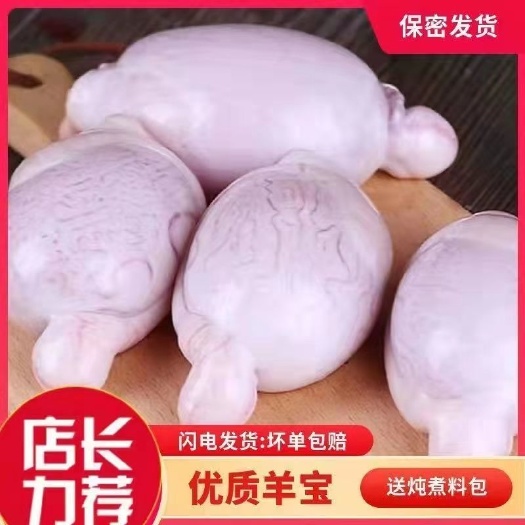 商丘羊蛋新鲜羊外腰商用羊宝羊腰羊球羊白腰烧烤食材羊睾丸腰子羊鞭蛋