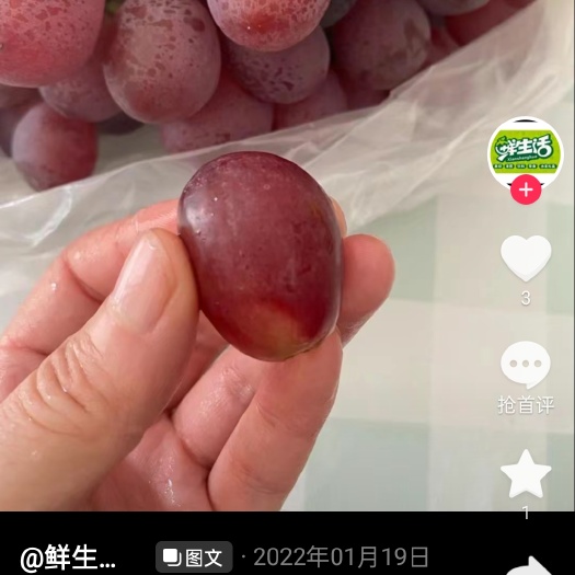 大荔县红提