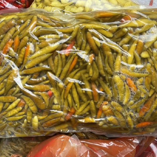 硬走泡小青椒 辣青椒