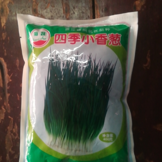 怀化四季小香葱种子8两一包，四季可播香味浓，商品性优秀，菜农用种