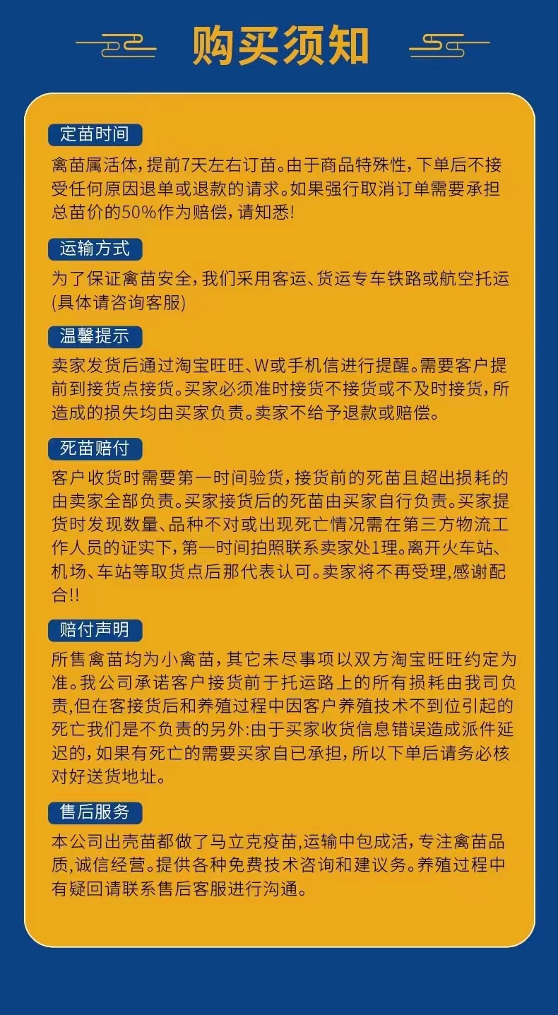 獅頭鵝活苗特大活苗鵝活苗獅頭鵝特大幼苗特大種獅子頭鵝活苗