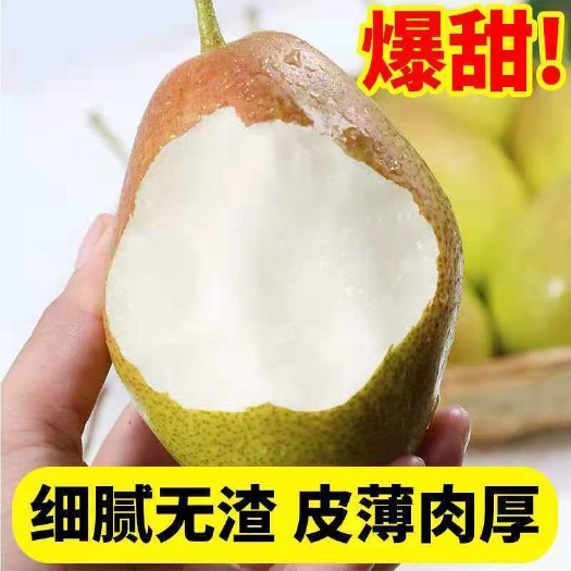 【9斤】2023新香梨新鲜水果梨子红香酥梨