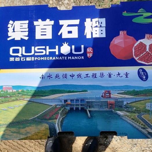 南水北调渠首源头，软籽石榴