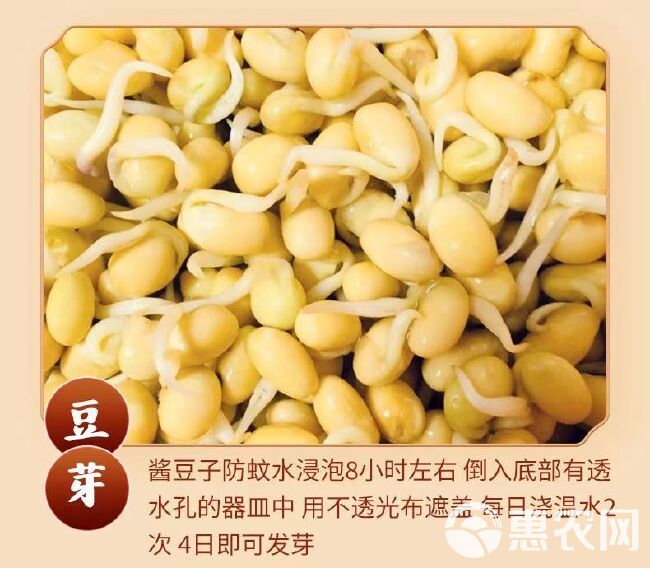 【黄豆批发】东北黄10斤豆农家自产粗粮杂粮黄豆批发