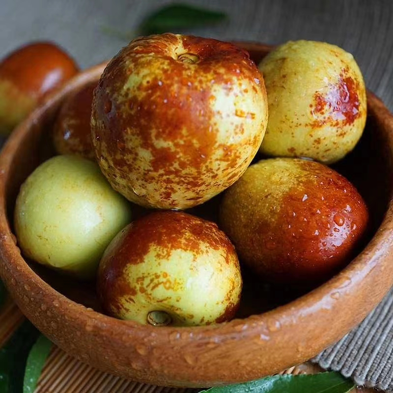 正宗沾化冬枣大果