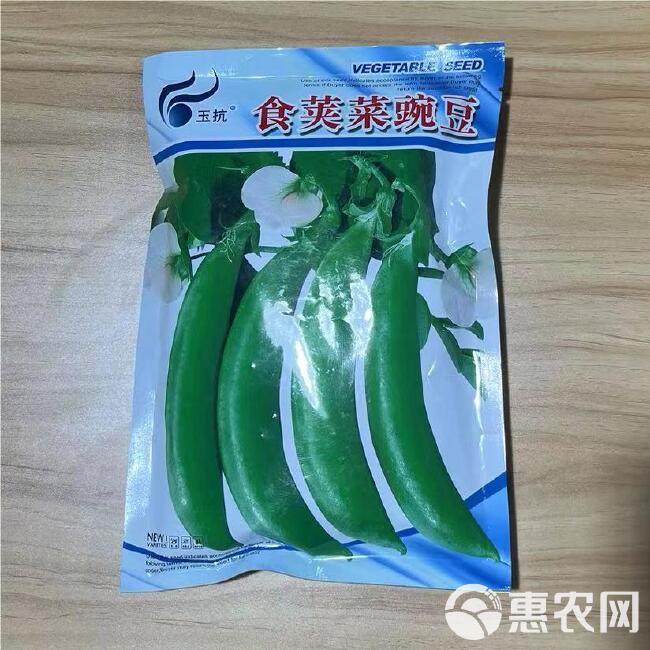 食荚菜豌豆种子