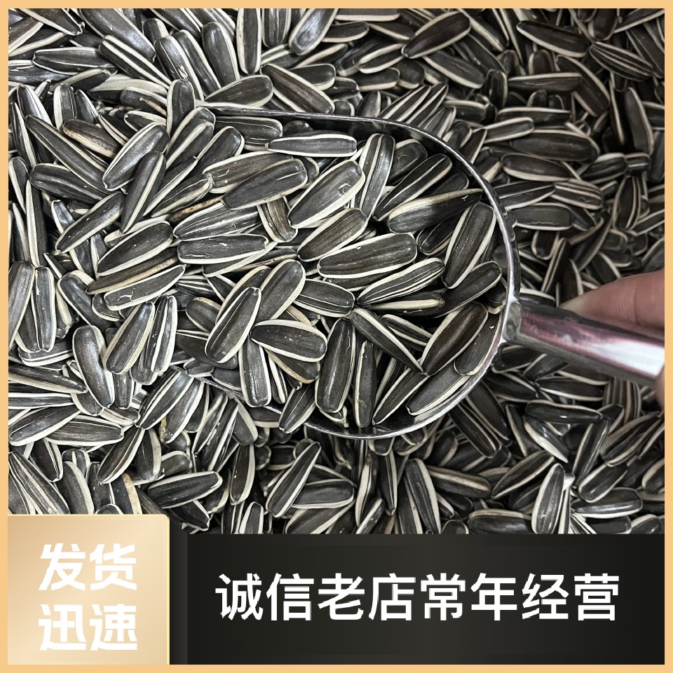 新货葵花籽中籽