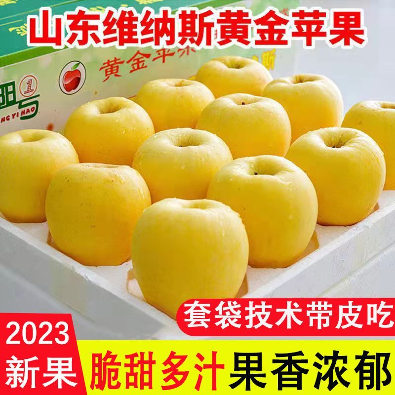 蒙阴县维纳斯黄金苹果新鲜水果应季脆甜批发一整箱