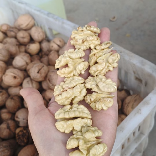 阿克苏市纸皮核桃