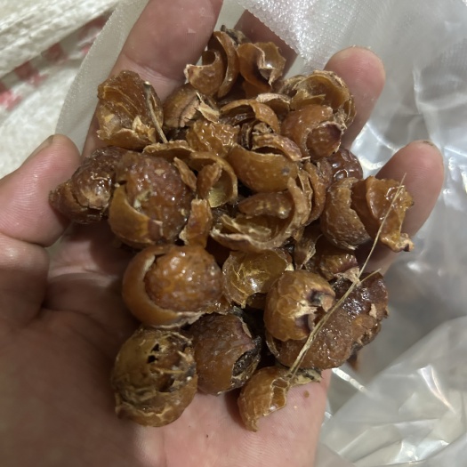 亳州批发无患子果皮，加工无患子粉
