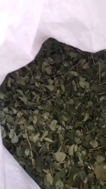芮城县花椒叶子