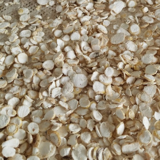 纳雍县贵州毕节 地珠牌 旱夏 去皮，趁鲜切片，直接烘干，500克