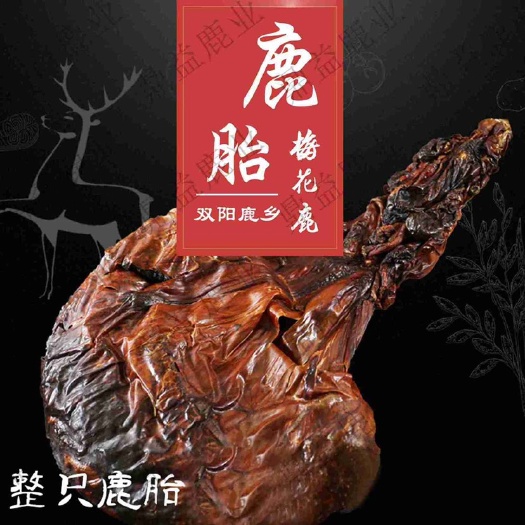 吉林梅花鹿干鹿胎整只打粉鹿胎膏鹿胎粉女性