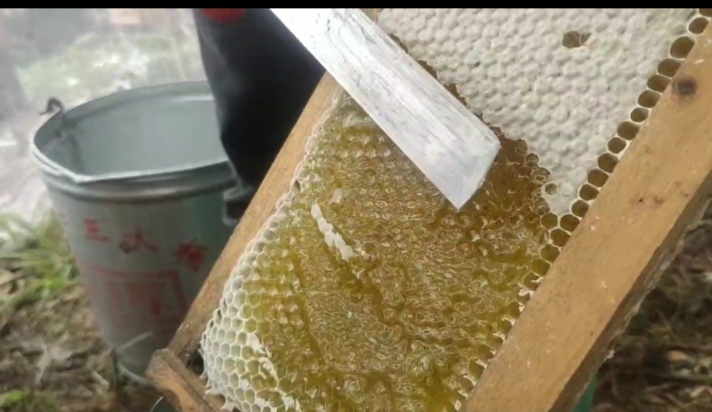 泸溪县土蜂蜜