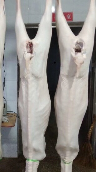 上饶供应蒙羊肉