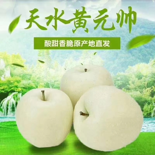 秦安县天水黄元帅苹果皮薄脆甜
