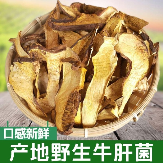 小金县藏区大山里天然黄牛肝菌干货