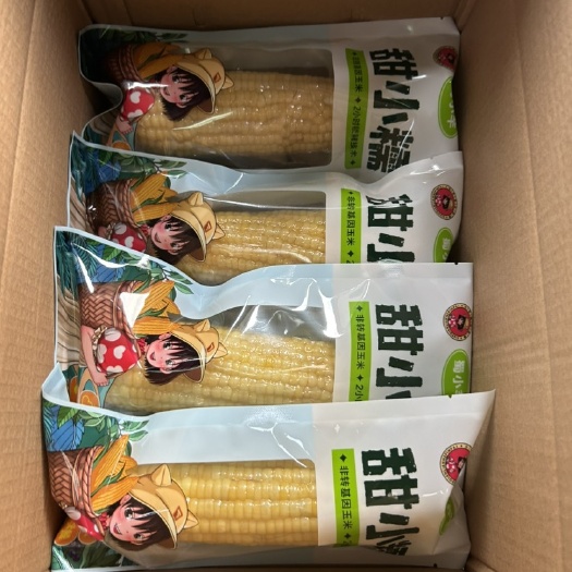 白甜糯锁鲜玉米，8根一件代发25

自己种植找人加工