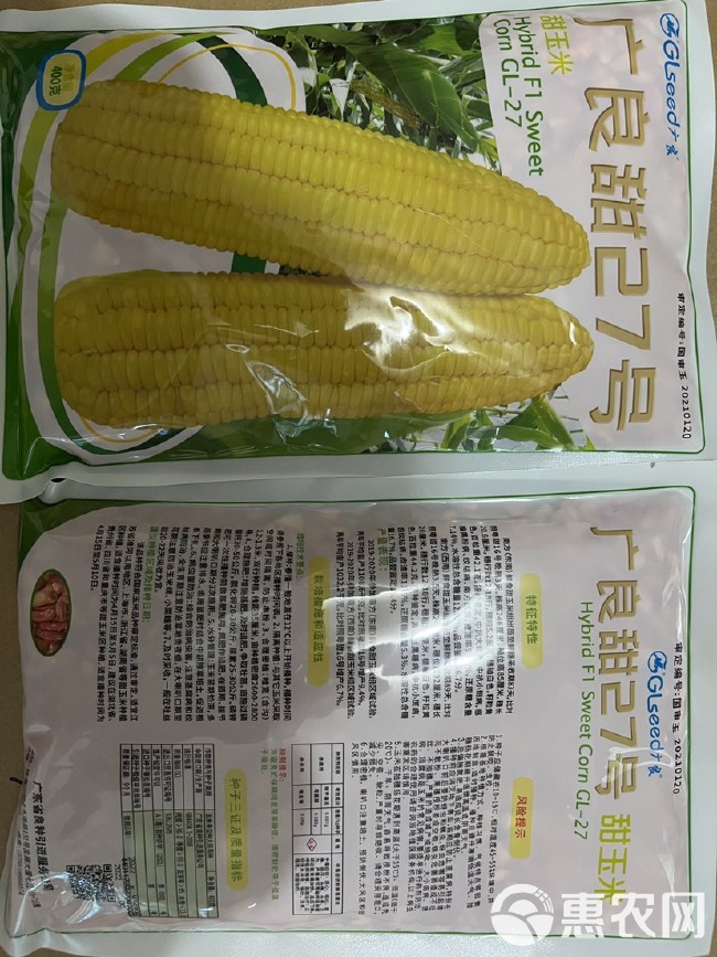 泰国甜玉米种子，广良甜27，甜玉米种，抗病强产量高棒子大