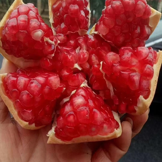 荥阳市河阴软籽石榴