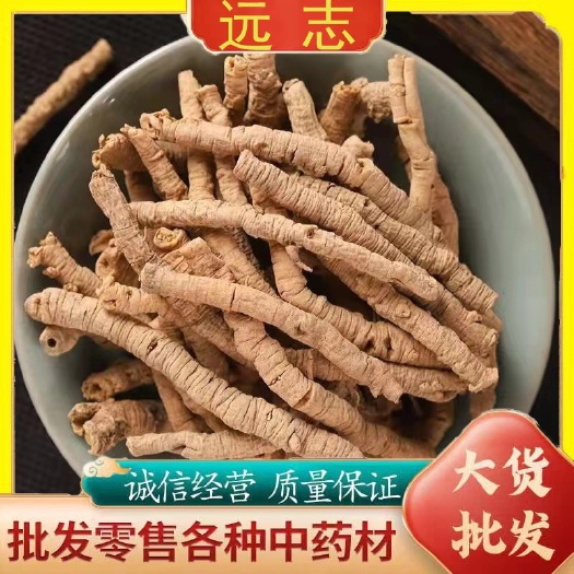 亳州中药材远志 现货批发 抽芯远志500克 产地直销量大从优